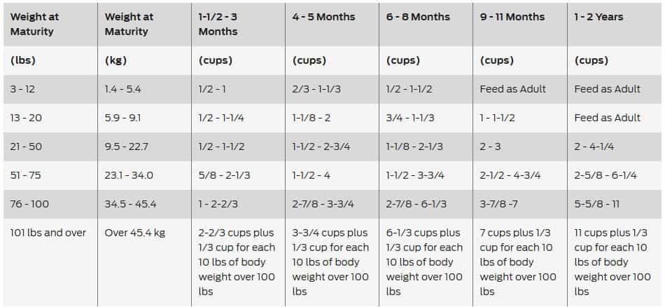 Puppy Feeding Guidelines: What to Feed and How Often
